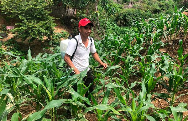 Reciben herbicidas campesinos de Ometepec organizados en Antorcha