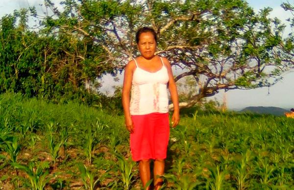 Esperan campesinos de Acapulco buenas cosechas, tras entrega de insumos agrícolas