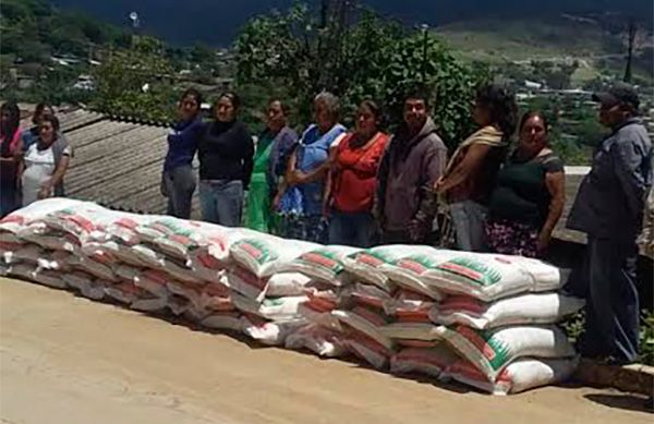 Fertilizante sigue llegando a pequeños productores de maíz de Chilapa