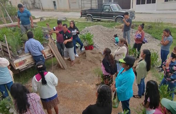 Rescatan antorchistas con reforestación áreas verdes en la Mixteca