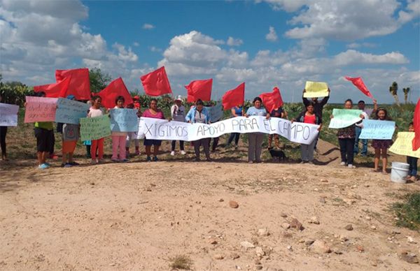 Campesinos de SLP reprochan a AMLO abandono al campo