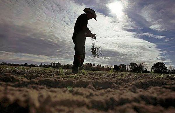 Obreros y jornaleros sinaloenses continúan sin recibir apoyo