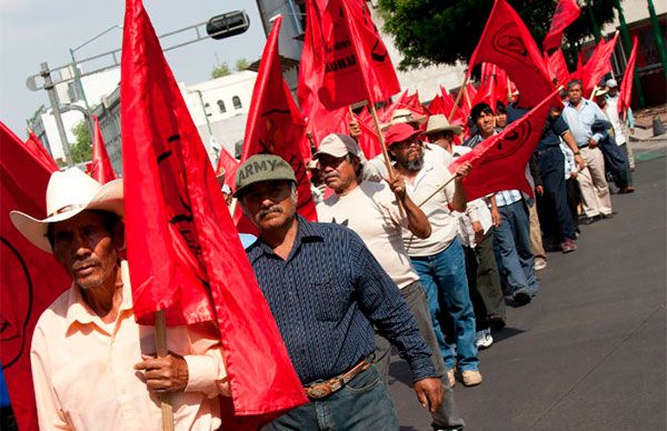 Opinión | Las leyes amparan nuestros negocios