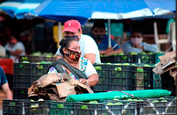 Devasta huracán Delta a campesinos de Quintana Roo; gobierno los abandona