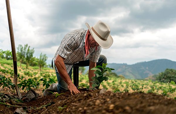 Morena no le apuesta al campo mexicano