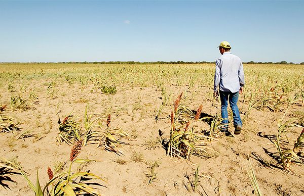 ¡Urge restaurar el Seguro Agrícola Catastrófico!