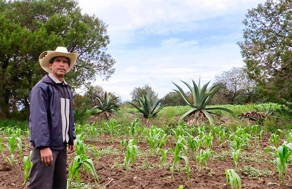 Diputado antorchista insta a Gobierno federal a apoyar a labriegos mexiquenses