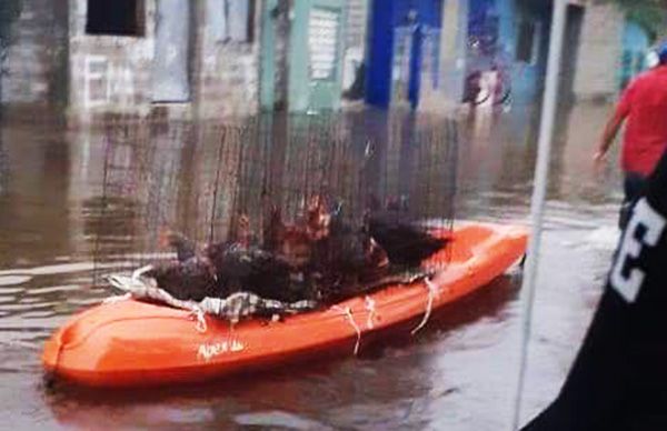 Afectados por inundación en Macuspana exigen apoyo