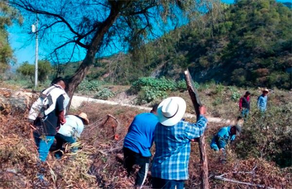 Faena de limpieza demuestra la unidad del antorchismo de Alcozauca