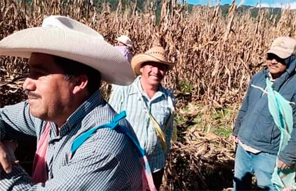 Gracias al apoyo de Antorcha, campesinos de Texcaltitlán logran desarrollo en sus parcelas