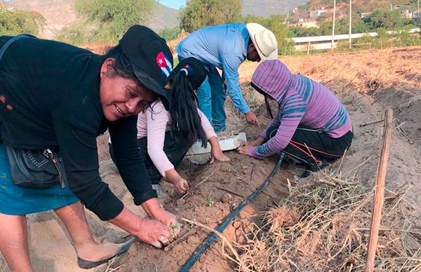 Incursionan antorchistas de Tlapa en siembra de hortalizas