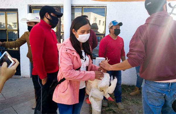 Con aves de postura Antorcha y gobierno local de Jilotepec benefician a cuatrocientas familias