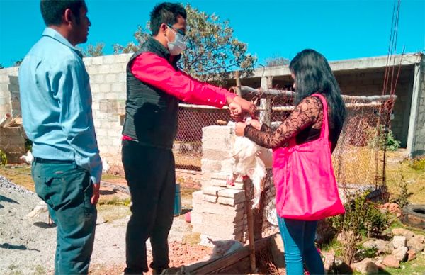 Antorcha entrega paquetes de aves de postura en Jilotepec