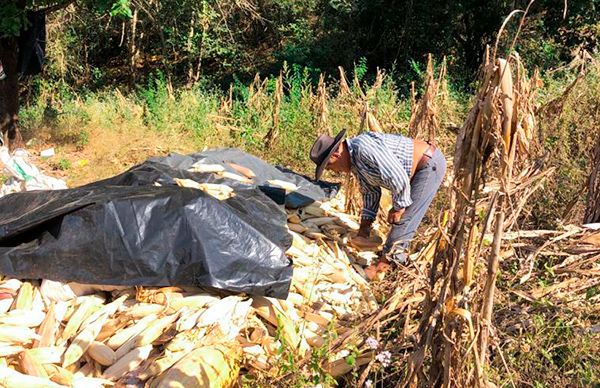 Unidad para lograr insumos agrícolas, el llamado a campesinos de Costa Chica