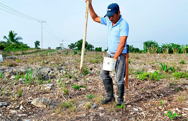 Campesinos solicitan apoyo al campo tras año de pérdidas