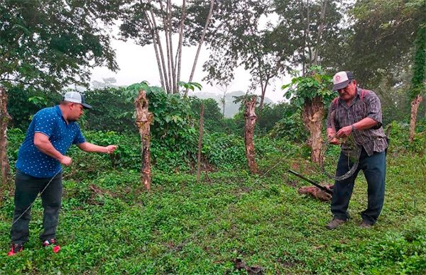 Sanean antorchistas predio para futura colonia en Chiapas