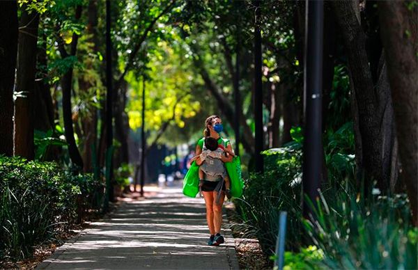 Tardío e insuficiente Plan Económico de Morena