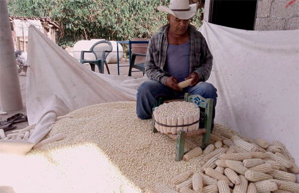 Campesinos de El Tamarindo en Zumpahuacán enumeran sus necesidades más elementales