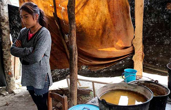 Pobreza, campo de exterminio en Sonora