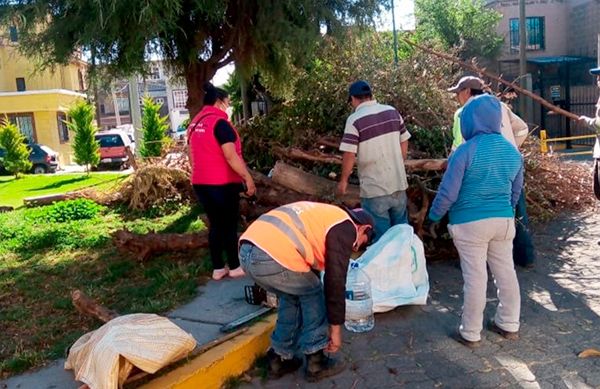 Antorchistas implementan acciones para la conservación de áreas verdes