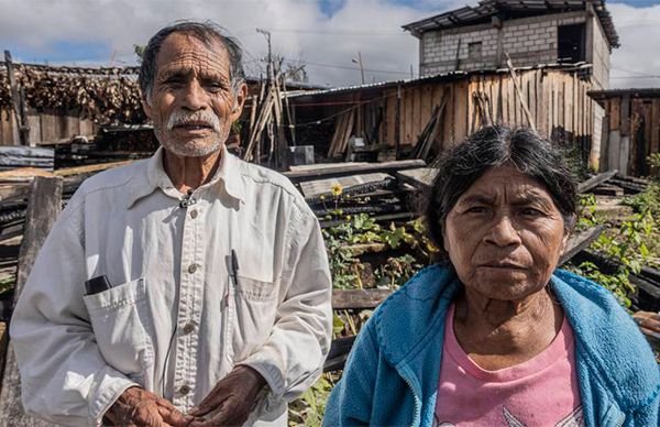 La triste realidad debe darnos coraje para luchar por la verdadera felicidad