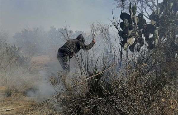 Ayuntamiento de Cañada Morelos evita propagación de incendio