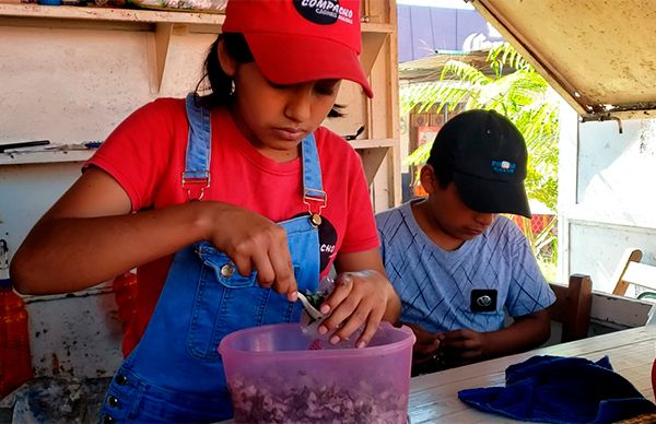 Trabajo infantil crece por deficiencias en educación en línea