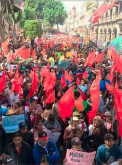 Un llamado a la organización del Pueblo