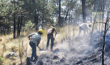 Realizan trabajos para prevención de incendios forestales en Ixtapaluca