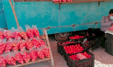 Urge especialista apoyos para el campo