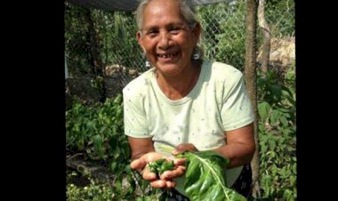 Piden productores apoyo para el campo