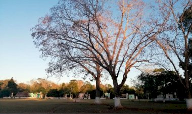 La indiferencia de las autoridades en Yaxcabá