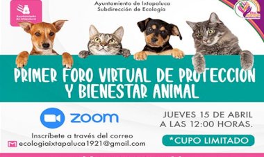 Realizarán foro para crear conciencia sobre el no maltrato animal