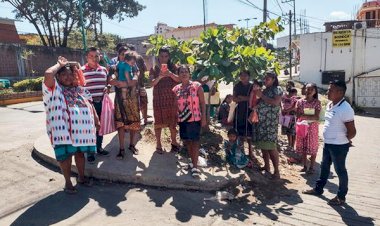 Campesinos de Zacualpan recibirán fertilizante ya están en el padrón de la Sader