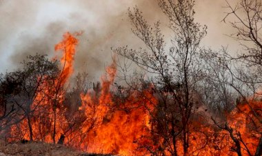 Desolación tras incendios en Chilpancingo, Guerrero