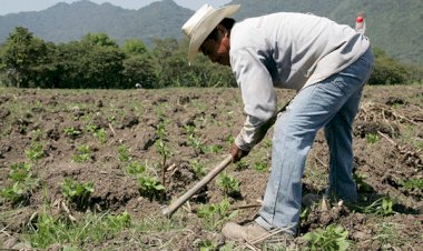 En el olvido, los campesinos de Hidalgo