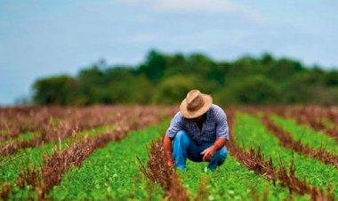 Campesinos mexiquenses alistan marcha