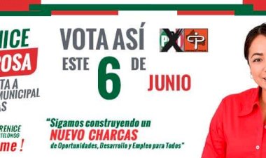 ¿A quiénes representan las candidatas del PAN y el Verde en Charcas?