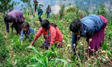 El necesario apoyo a los campesinos