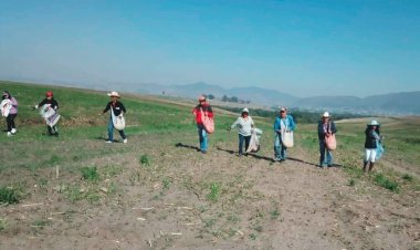 Antorcha Campesina un Movimiento que sabe trabajar