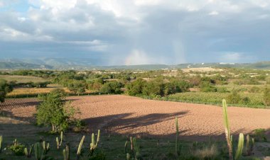 Siguen abandonados por el gobierno federal