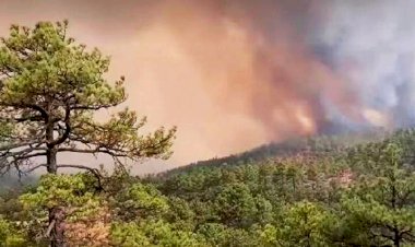 Con las uñas, voluntarios combaten los incendios forestales en Chihuahua; el Gobierno federal se retiró