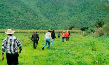 Antorchistas de RTC fortalecen actividad económica con venta de maíz cacahuazintle