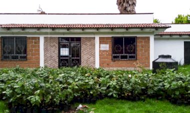 Campesinos organizados en Antorcha reforestaran zona boscosa de San Simón el Alto, Malinalco