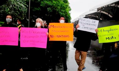 Madres caninas y madres humanas, qué hacer contra un gobierno que a todos nos afecta