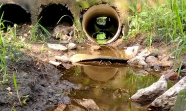 Esperan mantenimiento para puente que comunica a ejidos y colonias en Tierra Blanca 