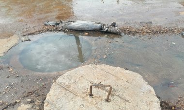 Denuncian comerciantes contaminación por aguas negras en Mecayapan