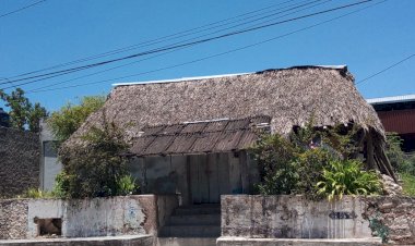 “No queremos más desastres en nuestras viviendas”: yucatecos