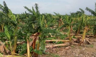 Más de 100 años y el campo sigue en las mismas condiciones de abandono