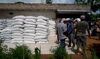 Lucha campesina sigue dando frutos en Veracruz